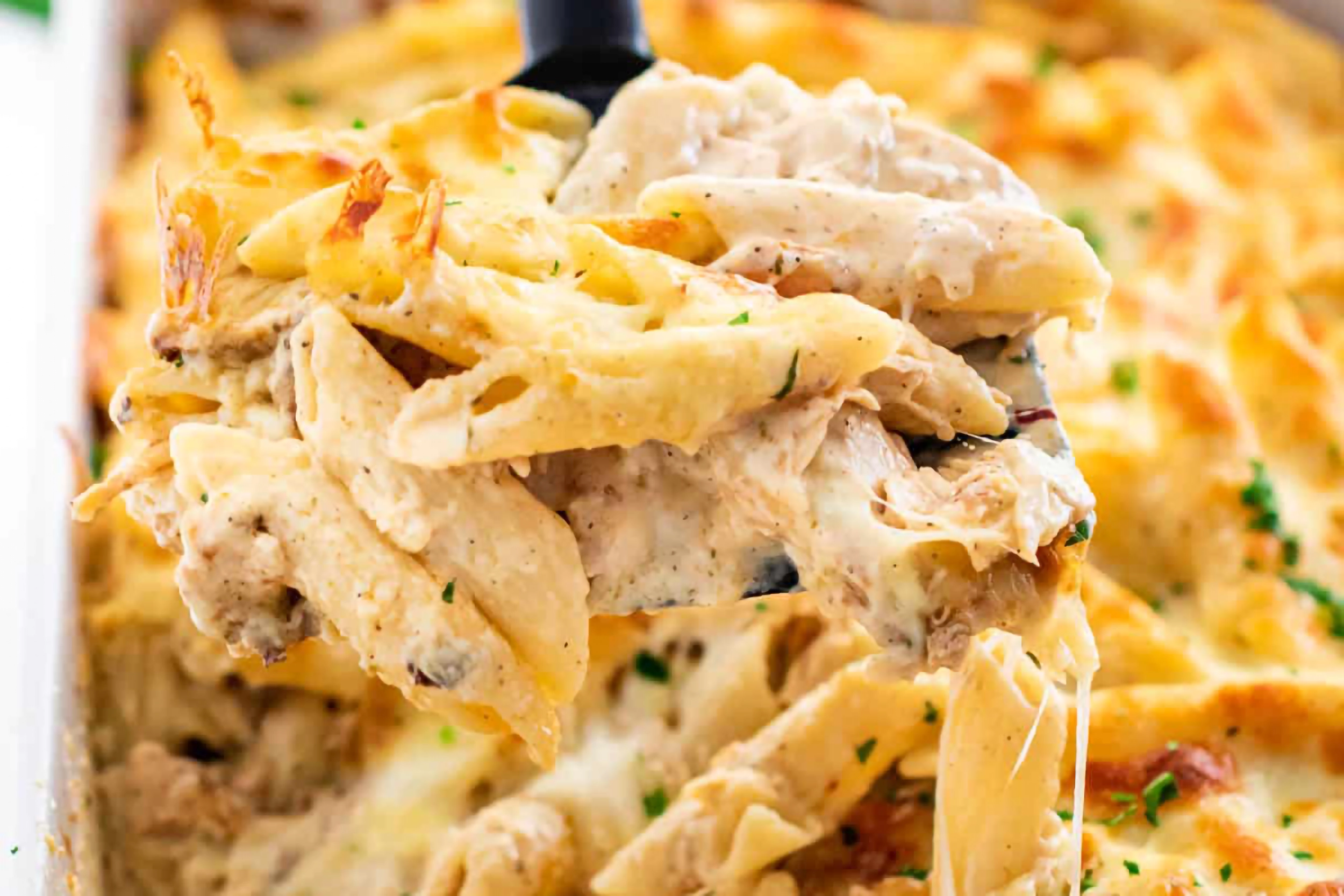Chicken Alfredo Bake