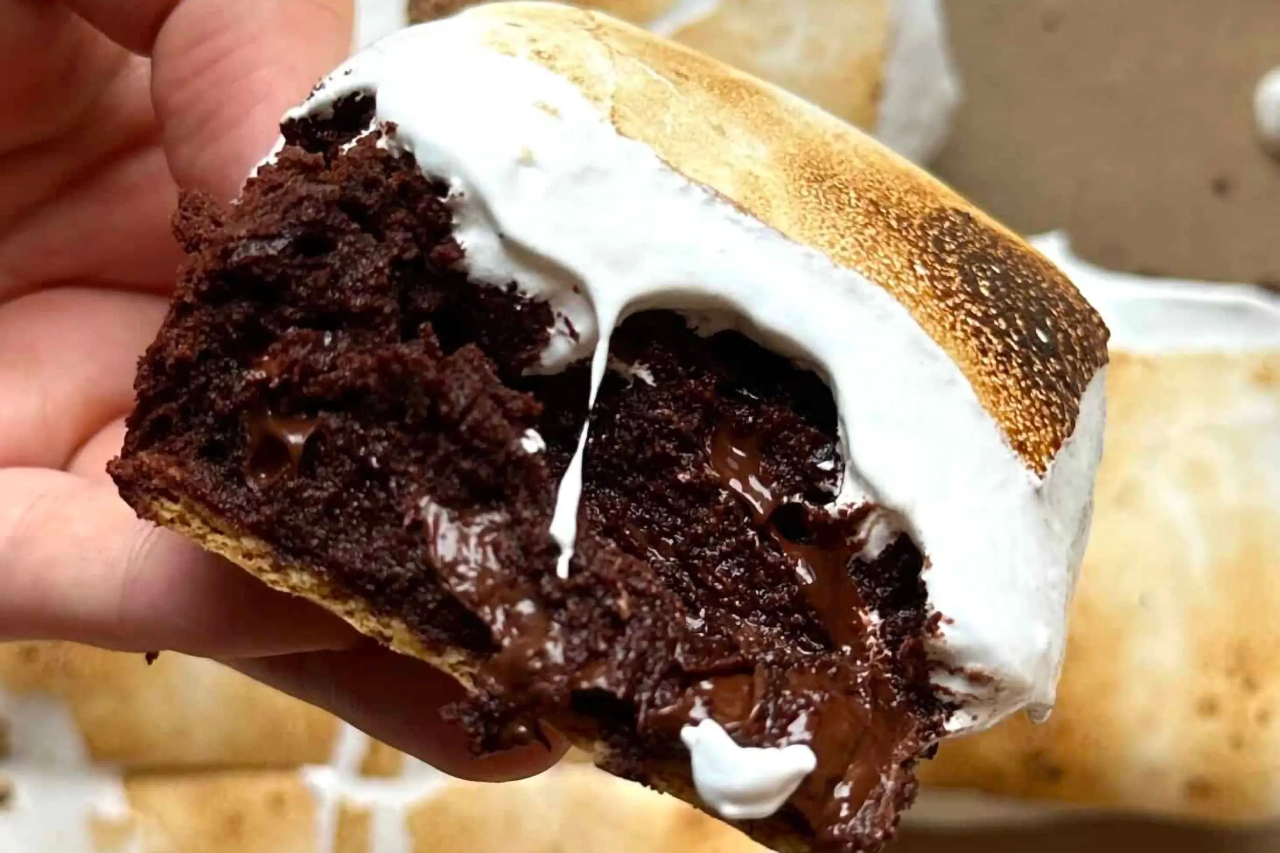 Fudgy S’mores Brownies